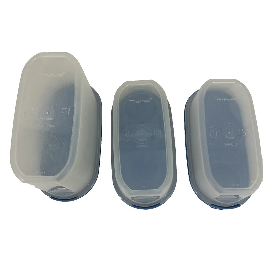 Tupperware Vintage Oval Container LOT (2) #1611-22 & (1) 4 3/4 W/ Blue Snap Lids